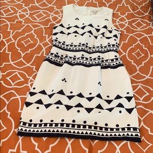 J Crew Navy and White Dress